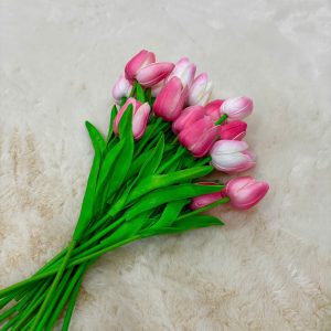 Chùm Hoa Tulip Nở