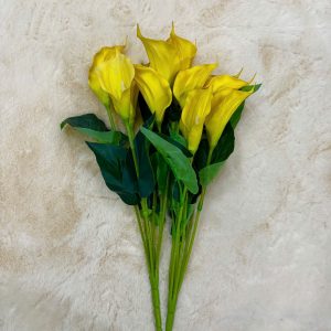 Cành Hoa Rum Xinh Xắn